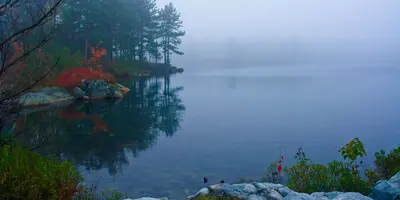 Acid Lake (1583834683)