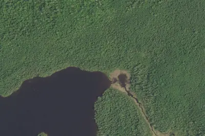 Camp site
