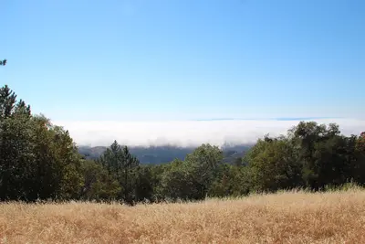 Sea of clouds - panoramio (1)