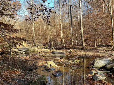 Patapsco Valley State Park - 53369017494