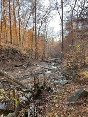 Patapsco Valley State Park - 53369153000
