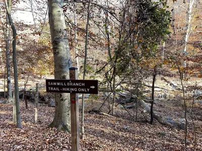 Patapsco Valley State Park - 53367803317