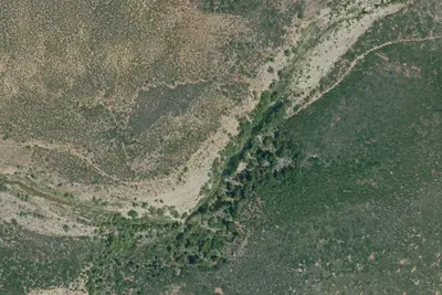 Bear Creek