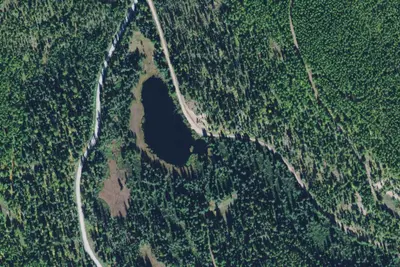 Trout Lake North