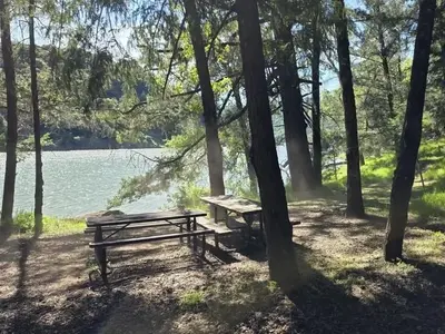 Campsite by lake in trees