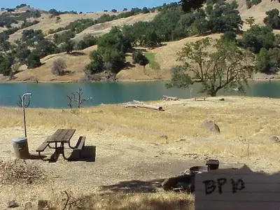 Bucks Pasture Site #10
