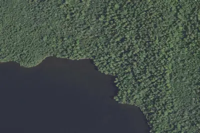 Caribou Lake #5