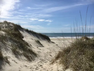 Path from Ocracoke Campground to Beach (51603209575)