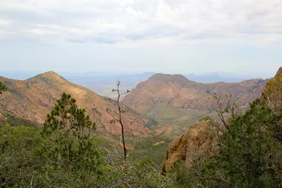 Pinnacles Trail overview, Big Bend National Park (8183847088)