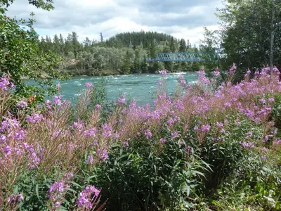 Yukon (5996427646)