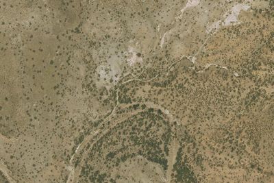 Sonoita Creek Natural Area