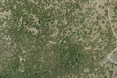Camp site