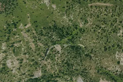 Spencer Creek