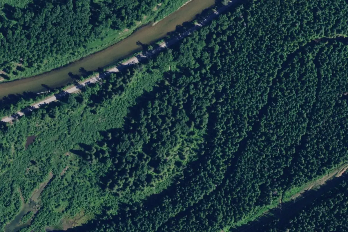 Aerial view