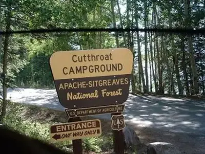 Cutthroat