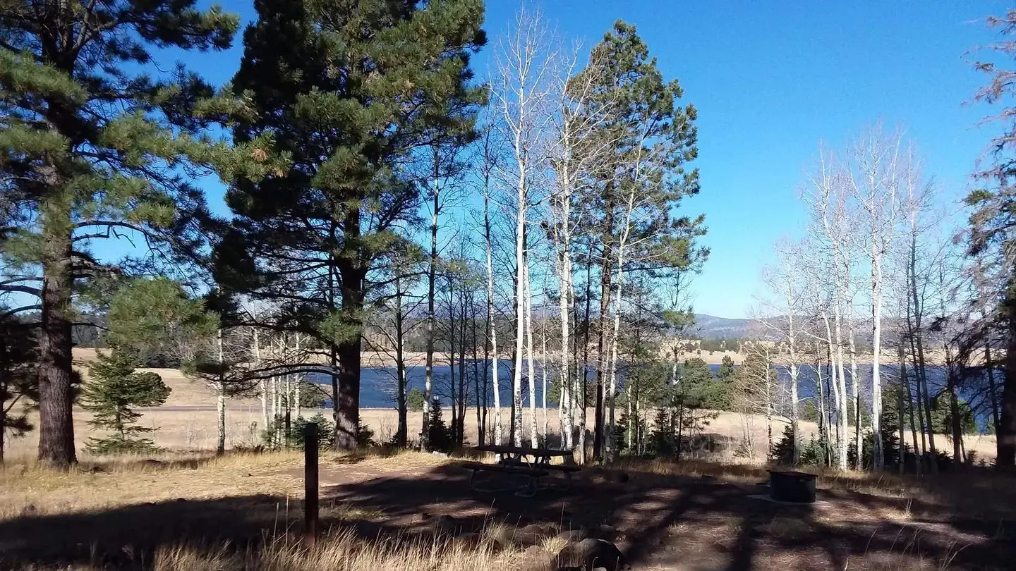 Cutthroat Campground Site