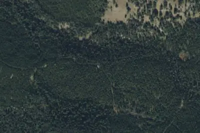 Bear Fork Road-004