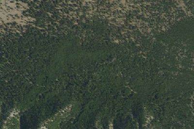 Fairy Meadows (OD1)