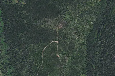 Lrd Meadow Ck 001