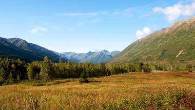 Kenai Peninsula between Seward and Anchorage