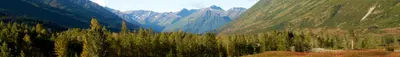 Kenai Peninsula banner