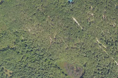Site 10