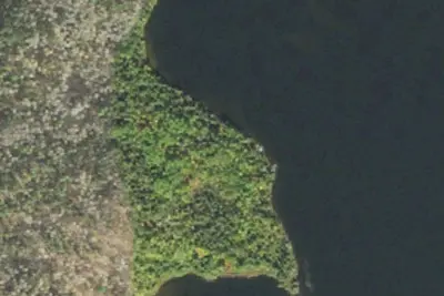 Camp site