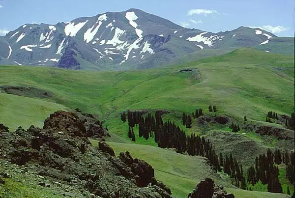Photo of Shoshone National Forest