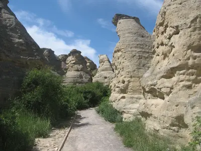 B - Group Campground