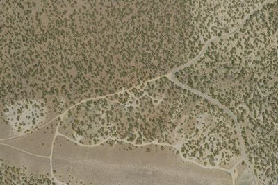 Camp site