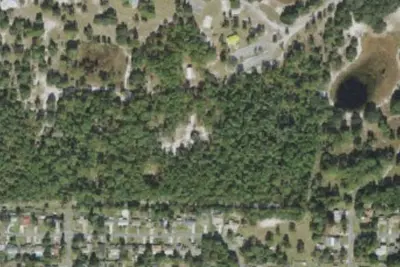 Pine Meadow
