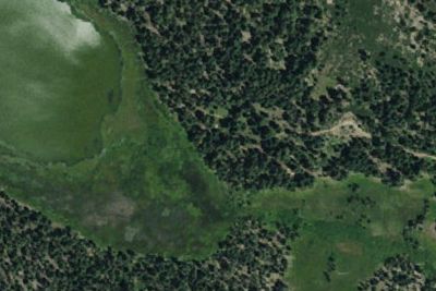Willow Lake Dispersed Camping Area