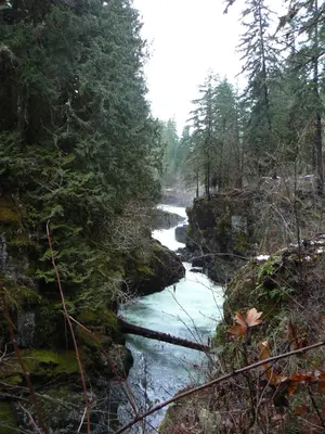 Photo of Stamp River Park