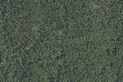 Camp site