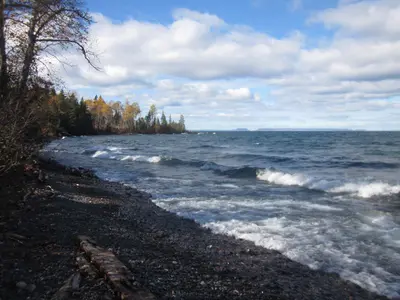 Little Todd Harbor Shoreline