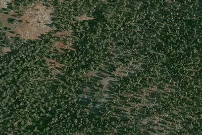 Grizzly Pass