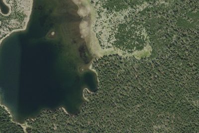Mallard Lake E