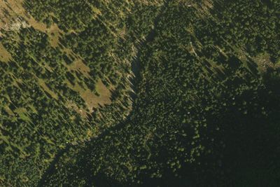 Camp site