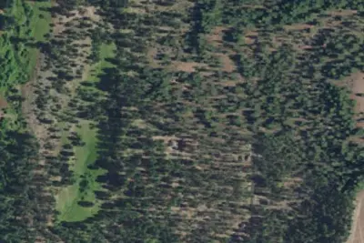 Salters Cabin Horse Camp