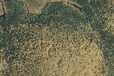 Perkins Notch Tent Site