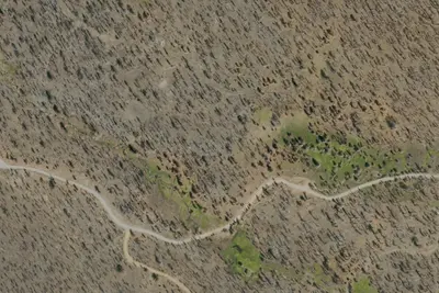 Cold Springs