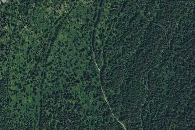 Fs Trail 187 (Bottleneck Lake Access)