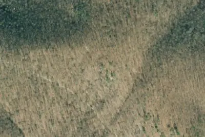 Camp site