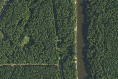 Camp site