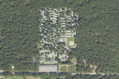 Pere Marquette Oaks