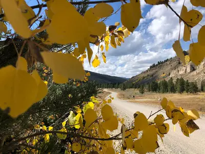 Forest Service - Northern Region (52395446810)