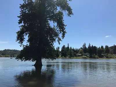 Gladstone, Oregon (33918854734)