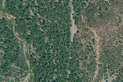 Greenville (Family Cg)