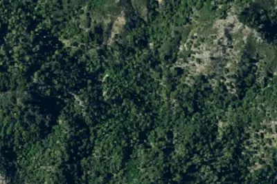 South Fork Camp