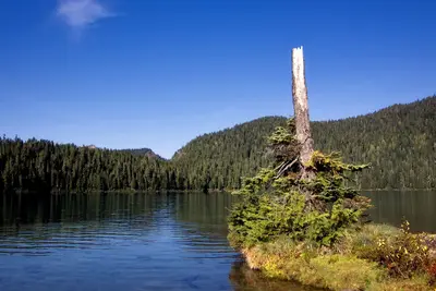 Mowich Lake (2)